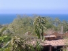 Casa Manuel view2 from palapa